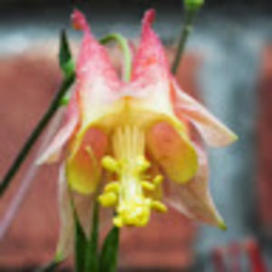 Meet your Posher, Kristianna